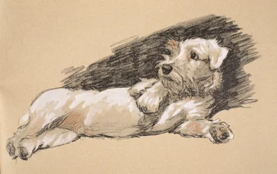 Terrier Detail, 1930, piirroksia hänen luonnoskirjastaan, jota käytettiin "Just among Friends", Aldin, Cecil Charles Windsor (1870-1935), myöhemmin julkaissut Eyre and Spottiswoode Limited, 1934, Chalk and Char